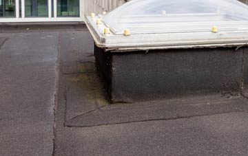 disadvantages of Carleton Rode flat roofs